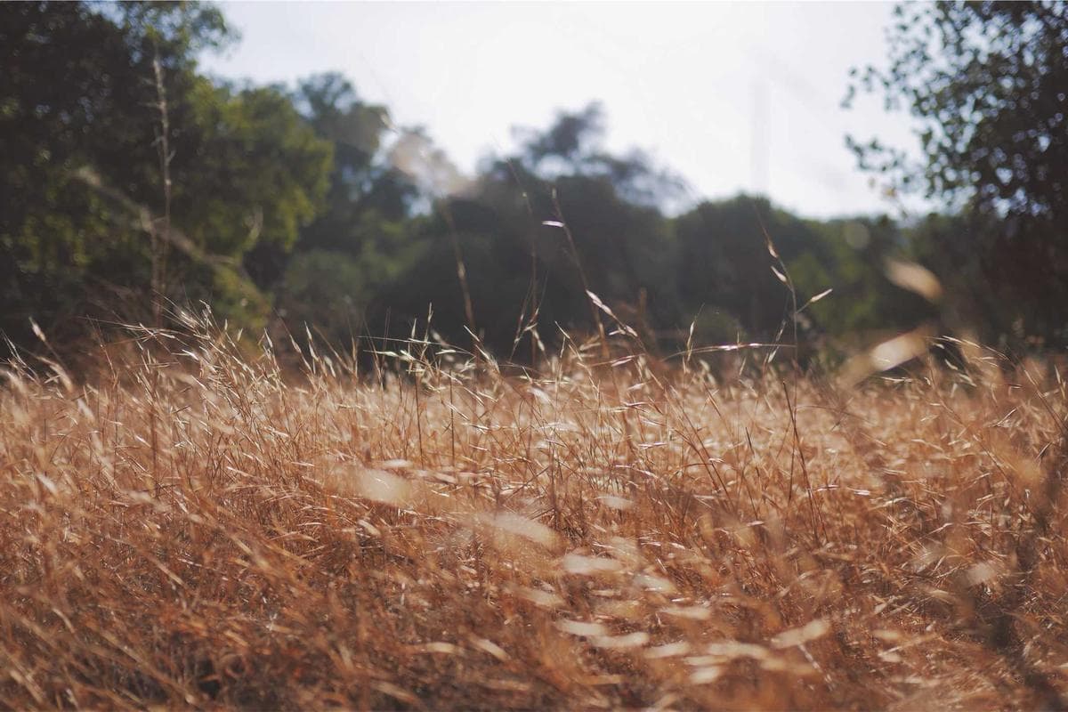 İstanbul'da Yeni Bir Ofis Kulesi Projesi: Levent Bölgesi Yeniden Şekilleniyor - haber kapak gorseli